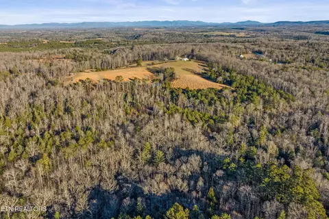 High Point Rd, Deer Lodge, TN 37726 photo 17