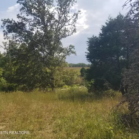 High Point Rd, Deer Lodge, TN 37726 photo 27
