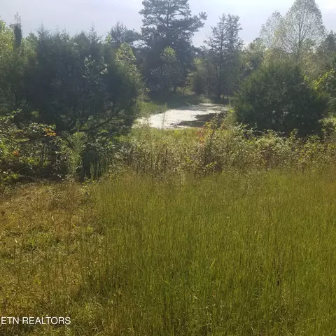 High Point Rd, Deer Lodge, TN 37726 photo 32