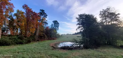 lot5 Majestic Meadow Way, Corryton, TN 37721