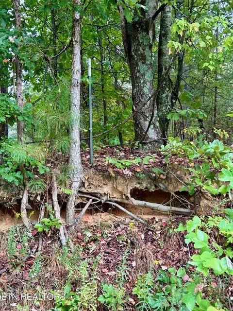00 County Road 609, Etowah, TN 37331