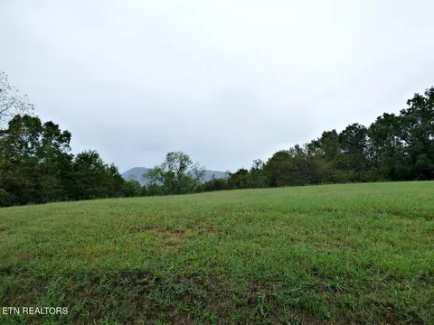 lot1 Indian Ridge Rd, Blaine, TN 37709