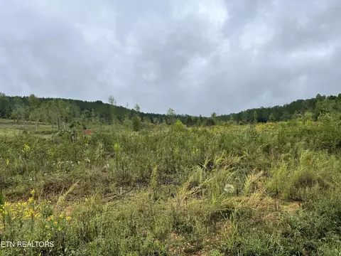 N Lot 4 North Nopone Valley Rd, Decatur, TN 37322
