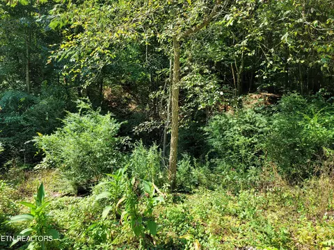 Hargrove St, Kingston, TN 37763