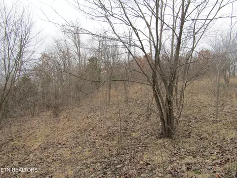 43 Ac Upper Crab Rd, Jamestown, TN 38556
