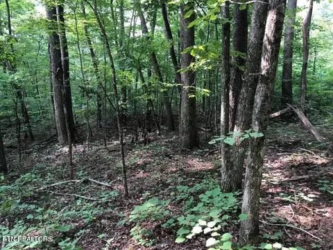 tbd Jackson Hollow Rd, Thorn Hill, TN 37881