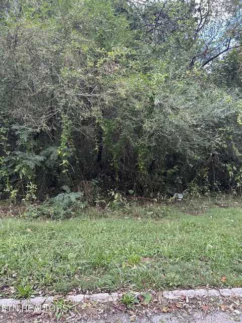 113 N Mountain Ln, La Follette, TN 37766