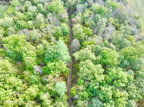 000 Wentland Rd, Deer Lodge, TN 37726