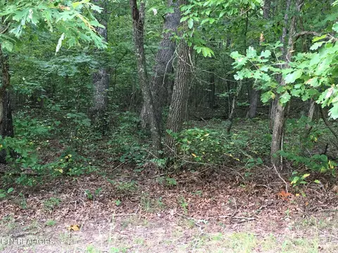 Arrow Tr, Monterey, TN 38574