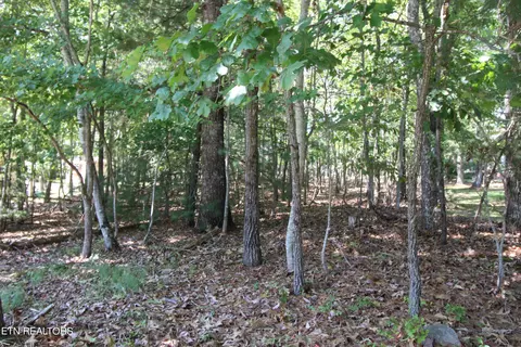 105 Wilbourn Dr, Fairfield Glade, TN 38558