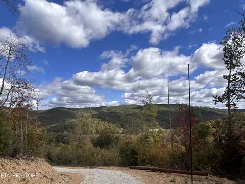 Newport/brimstone Rd, Robbins, TN 37852