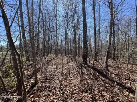 lot590 Stone Haven Tr, Jamestown, TN 38556