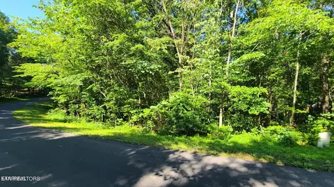 332 Nuhya Ln, Loudon, TN 37774
