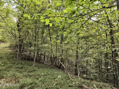 Hodges Court, Baneberry, TN 37890