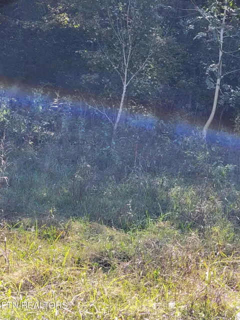 00 Horton Ford Rd, Eidson, TN 37731 photo 6