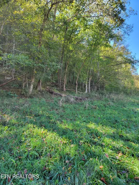 00 Horton Ford Rd, Eidson, TN 37731 photo 4