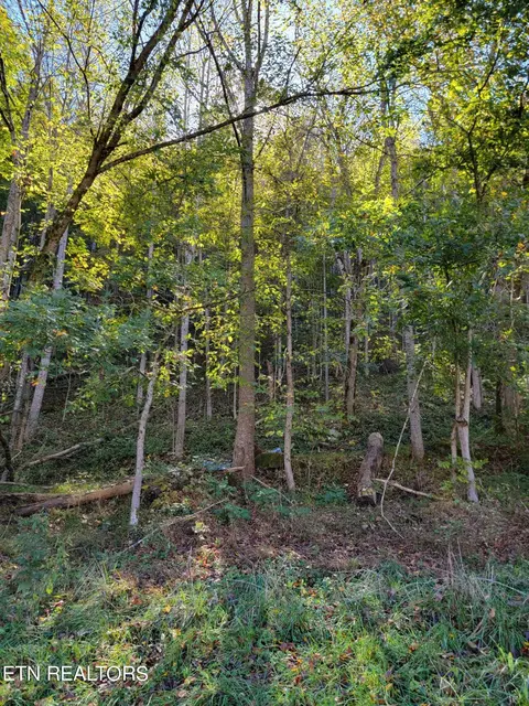 00 Horton Ford Rd, Eidson, TN 37731 photo 5