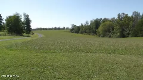 lot1 Allen Bend Rd, Smithville, TN 37166