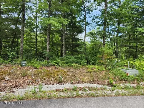 441 Hawken Dr, Walland, TN 37886