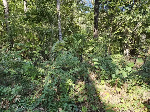 lot7 Sunset Dr, Talbott, TN 37877 photo 5