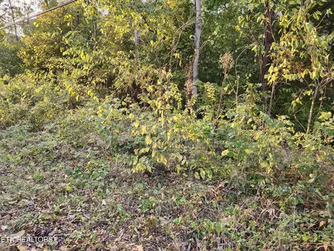 lot7 Sunset Dr, Talbott, TN 37877 photo 7