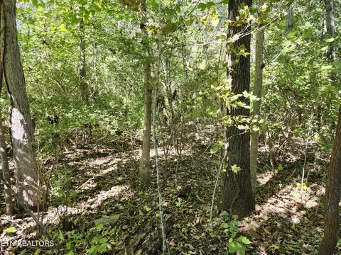 lot7 Sunset Dr, Talbott, TN 37877 photo 4