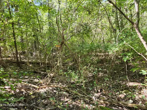 lot7 Sunset Dr, Talbott, TN 37877 photo 2