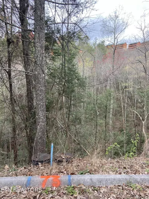 lot73 Smoky Ridge Way, Sevierville, TN 37862
