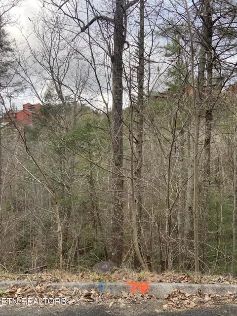 lot74 Smoky Ridge Way, Sevierville, TN 37862