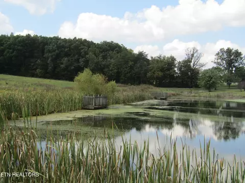 lot19 Hack Beaty Rd, Grimsley, TN 38565