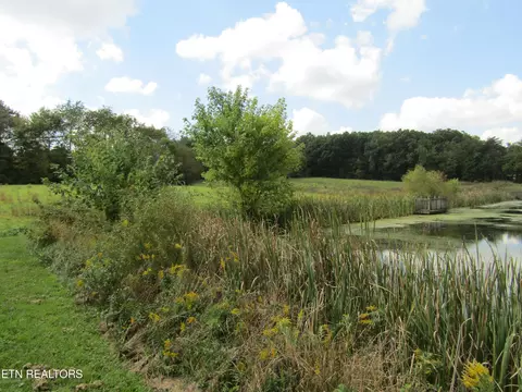 lot19 Hack Beaty Rd, Grimsley, TN 38565 photo 27
