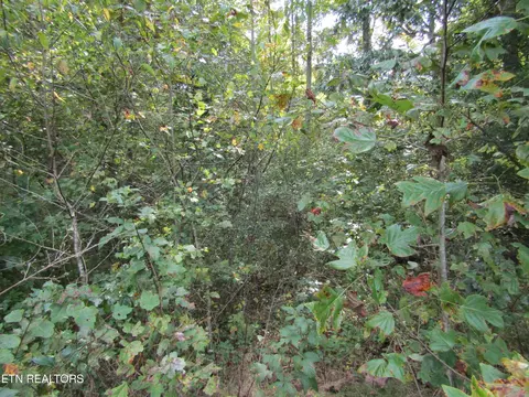 lot19 Hack Beaty Rd, Grimsley, TN 38565 photo 25