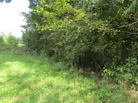 lot19 Hack Beaty Rd, Grimsley, TN 38565 photo 9