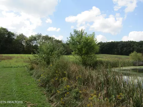 lot19 Hack Beaty Rd, Grimsley, TN 38565 photo 28