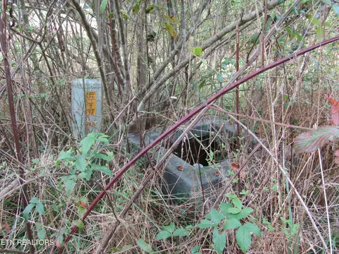 lot19 Hack Beaty Rd, Grimsley, TN 38565 photo 21