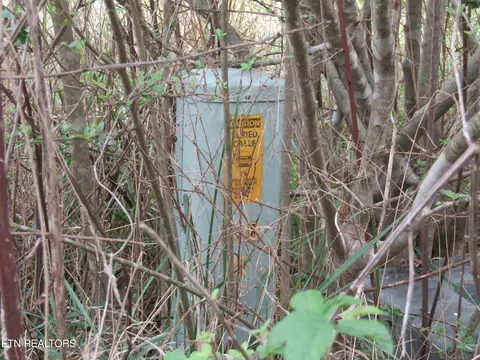 lot19 Hack Beaty Rd, Grimsley, TN 38565 photo 23