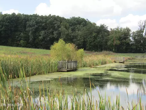 lot19 Hack Beaty Rd, Grimsley, TN 38565 photo 31
