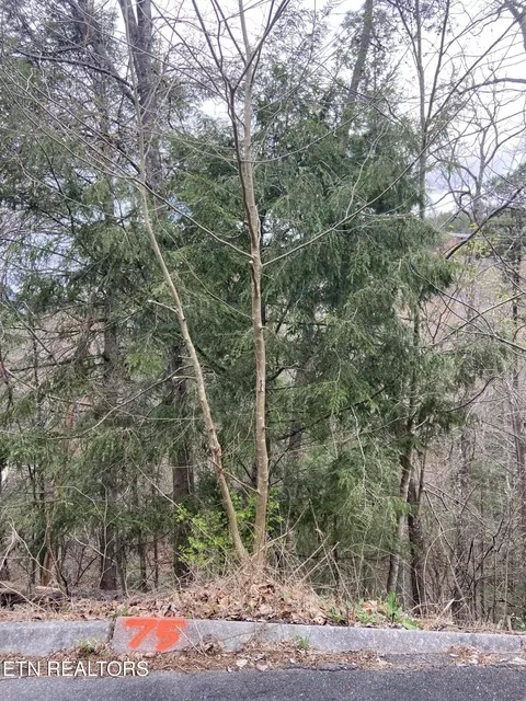 lot75 Smoky Ridge Way, Sevierville, TN 37862