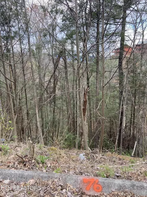 lot76 Smoky Ridge Way, Sevierville, TN 37862
