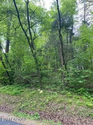 125 Inagehi Way, Loudon, TN 37774