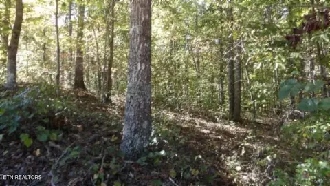lot23 Riverwatch Trce, Sparta, TN 38583