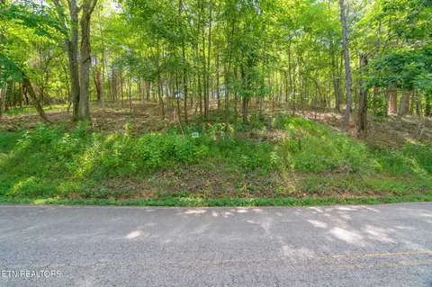 lot16 Little Dogwood Rd, Kingston, TN 37763