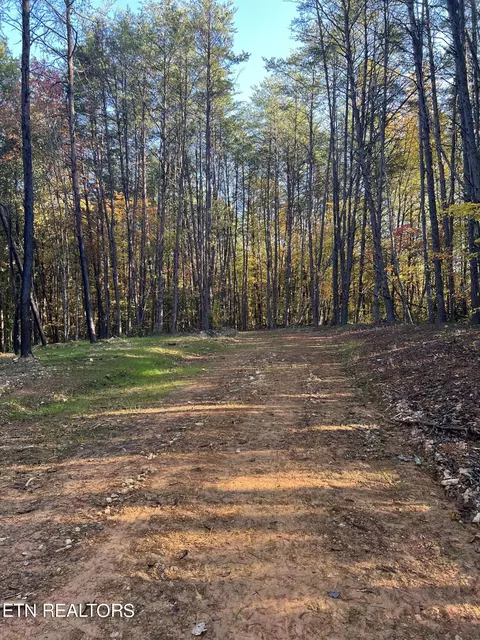 120 Maple Springs Rd, Tellico Plains, TN 37385