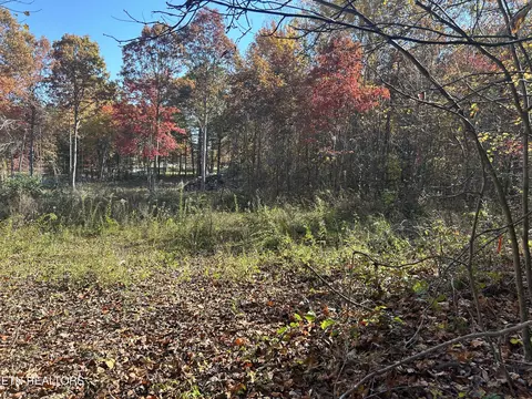 1665 Hollis Poore Rd, Jamestown, TN 38556