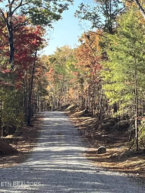 103 Cherokee Path, Tellico Plains, TN 37385