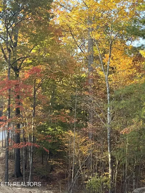106 Cherokee Path, Tellico Plains, TN 37385