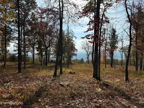 288 Duckwood Ln, Evensville, TN 37332