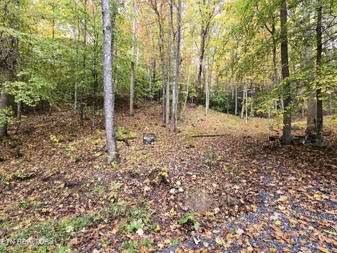 lot14 Cara Way, Cosby, TN 37722