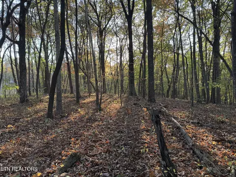 W Laurel Way, Monterey, TN 38574