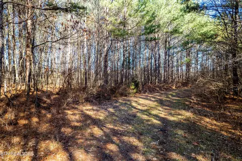 16 Lower Rockwood Road, Rockwood, TN 37854